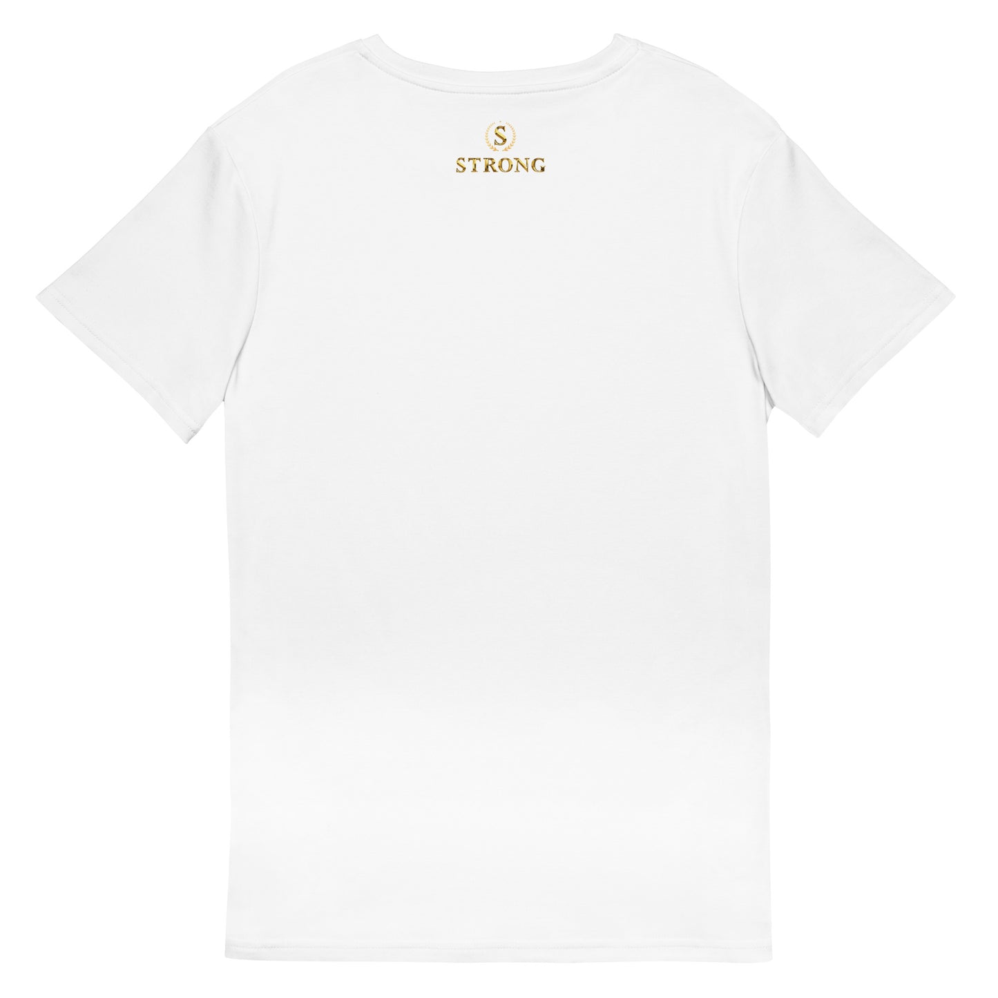 Men's premium cotton t-shirt